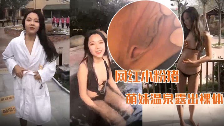 精品推荐网红小粉猪西萌工作室流出萌妹温泉露出裸体问路车内自慰